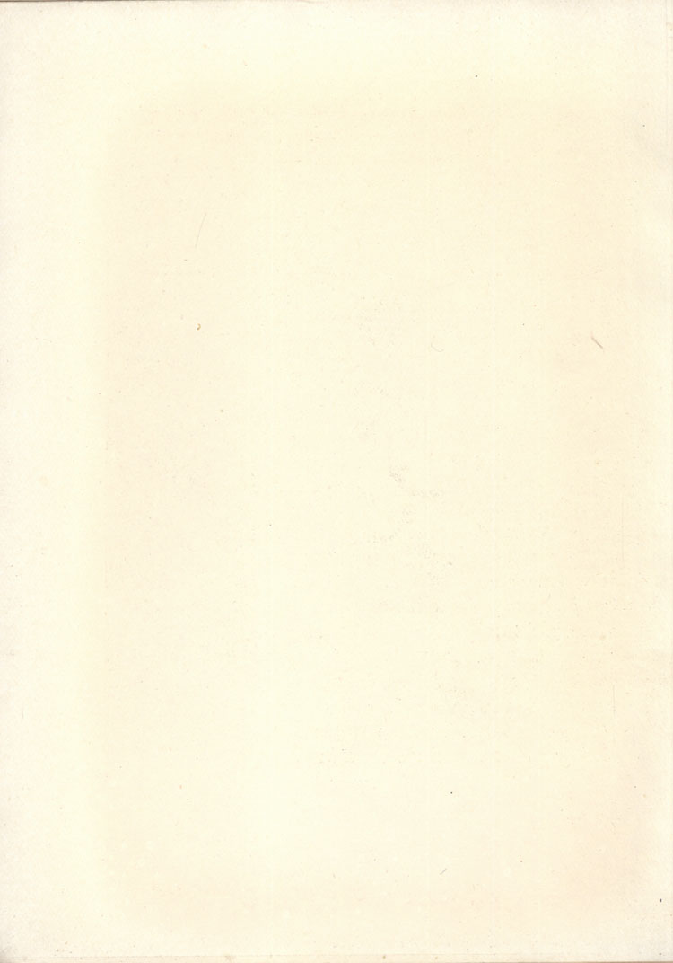 Blank Page