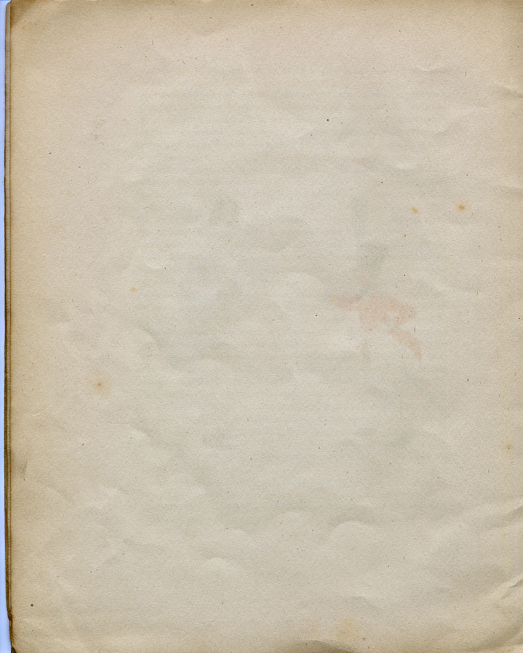 Blank Page