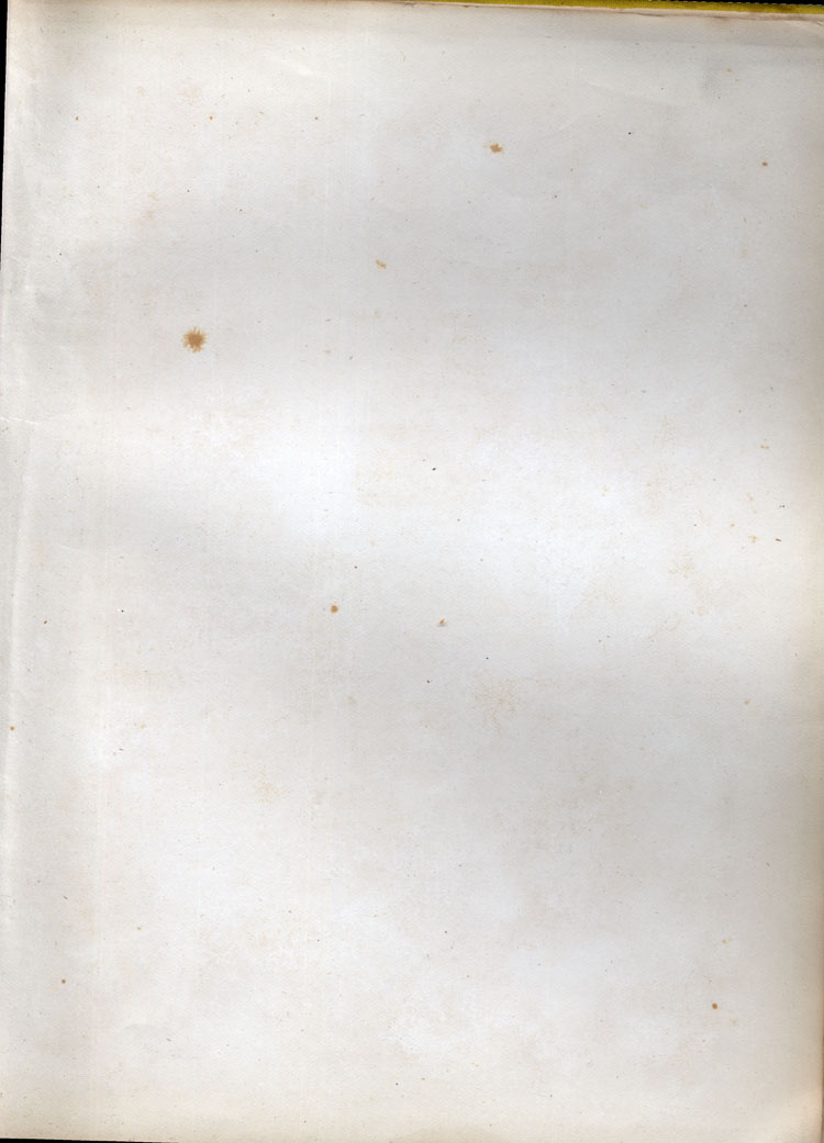 Blank Page